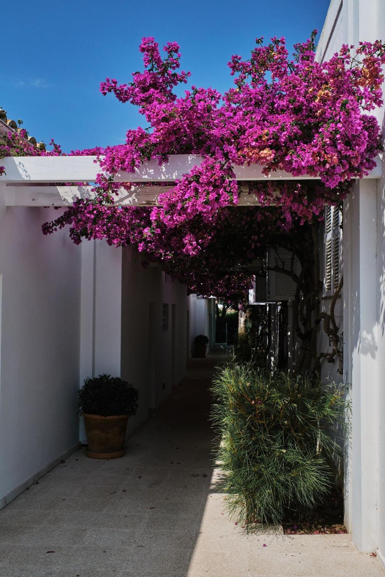 Prinsotel Mal Pas - Adults Only Alcúdia Exterior foto